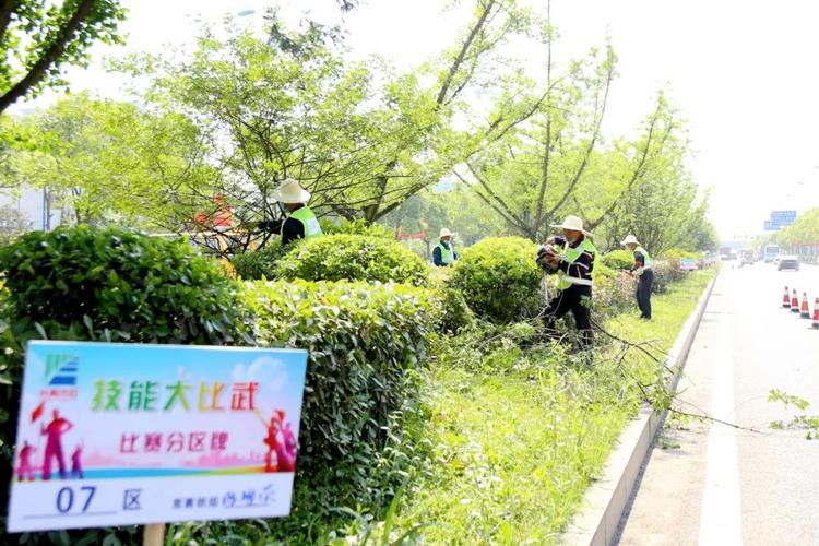 亮绝活麓谷今举行第一届园林绿化养护技能比武竞赛